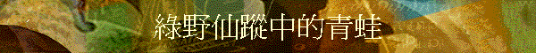 񳥥PܤC