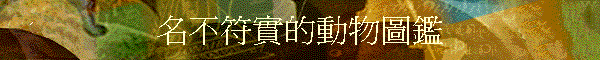 WŹꪺʪŲ