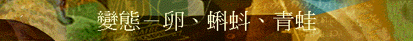 ܺAЧZBBBC