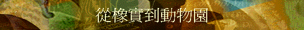 qʪ