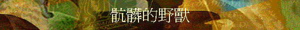 ż~