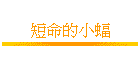 uRp