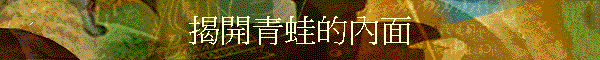 }C쪺